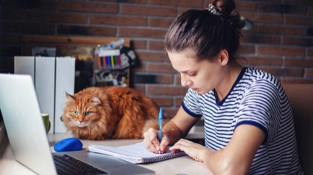 Junge Frau am Schreibtisch mit Laptop und Block sowie Katze.